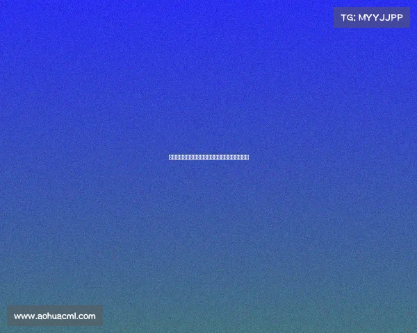 德甲球星风采：聚焦当前顶级球员的表现与未来前景