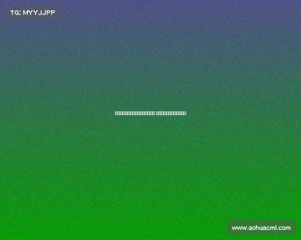 法国队赢得桥牌世锦赛冠军成功摘金 展现出非凡实力与默契配合